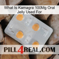 What Is Kamagra 100Mg Oral Jelly Used For 24